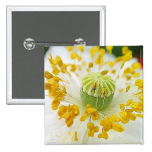 Delicate White Poppy Pinback Buttons
