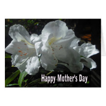 DELICATE WHITES CARD