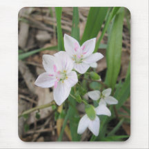 Delicate Wildflower Mousepad