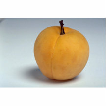 Delicious Apricot Photo Cut Out