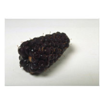 Delicious Blackberry Personalized Announcements