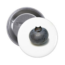 Delicious Blueberry buttons
