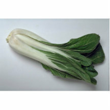 Delicious Bok choy Photo Sculpture
