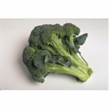 Delicious Broccoli Photo Cutouts