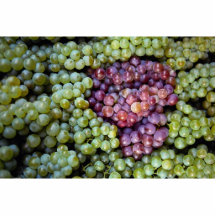 Delicious grapes fruit photo sculptures