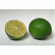 Delicious Lime Acrylic Cut Out