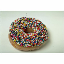 Delicious Rainbow sprinkle doughnut Photo Cut Outs