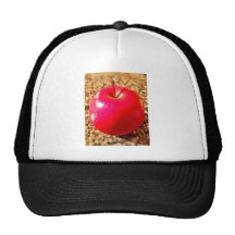 Delicious Red Apple Mesh Hat