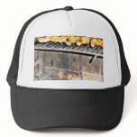 Delicious Roasted Chicken Above The Fire Hat