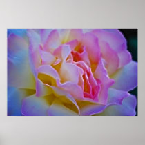 Delicious rose and meaning posters