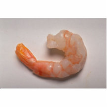 Delicious Shrimp Cut Out
