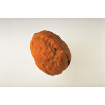 Delicious Walnut Photo Cutouts