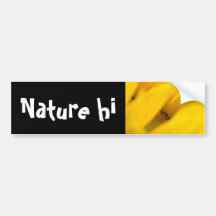 delight in mystery bumper stickers