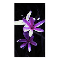 delight of purple business cards