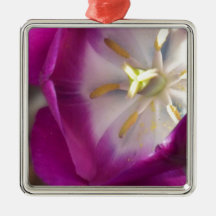 Delightful closeup image of a purple flower. ornament