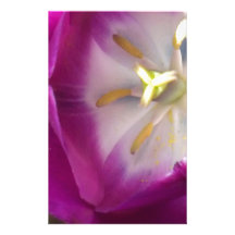 Delightful closeup image of a purple flower. stationery