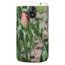 Delightful Tulips Galaxy Nexus Cases