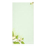 Delightful white flowers and green leaves photo cards
