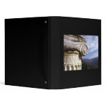 Delphi Temple binders