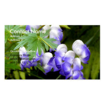 Delphinium Business Card