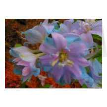 Delphinium Card