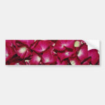 Delphinium  flowers bumper sticker