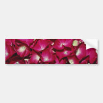 Delphinium  flowers bumper stickers