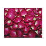 Delphinium  flowers post card