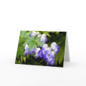 Delphinium Greeting Card