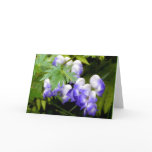 Delphinium Greeting Card