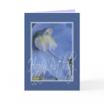 DELPHINIUM - HAPPY BIRTHDAY CARDS