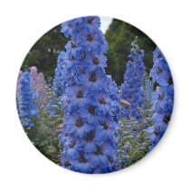 Delphinium Magnet
