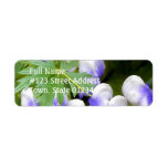 Delphinium Return Address Label