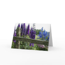 Delphiniums Card