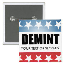 DEMINT 2010 PIN