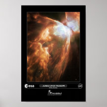 Demise in ice and fire posters