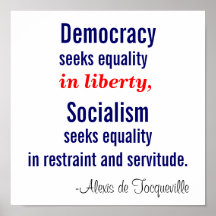 Democracy seeks equality in liberty print