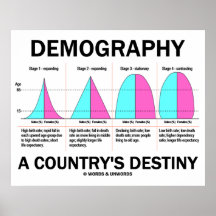 Demography A Country's Destiny (Four Stages) Posters