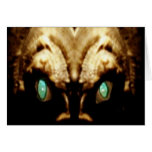 demon 1 cards