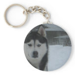 Demon Nija Sybirski Keychains