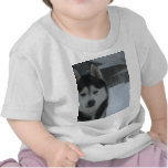 Demon Nija Sybirski T Shirts