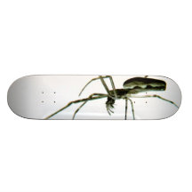 Demon Spider Custom Skate Board