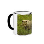 Denali Grizzly Coffee Mugs