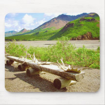 Denali National Park, Alaska Mouse Pads
