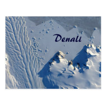 Denali National Park Alaska Postcard