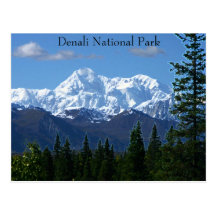Denali National Park PostCard