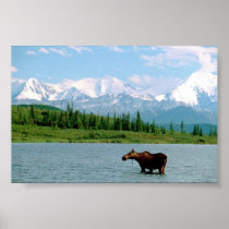 Denali National Park