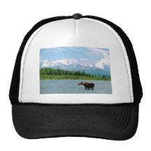 Denali National Park Trucker Hats
