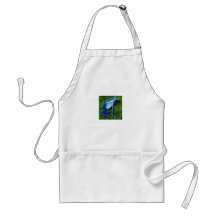 Dendrobates azureus - blue poison frog aprons