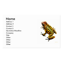 Dendrobates Poison Frog Profile Card Business Cards